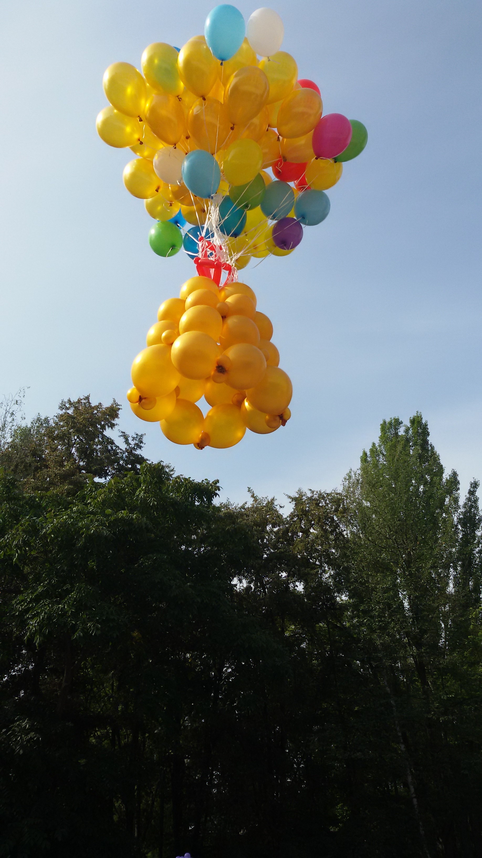 День знань